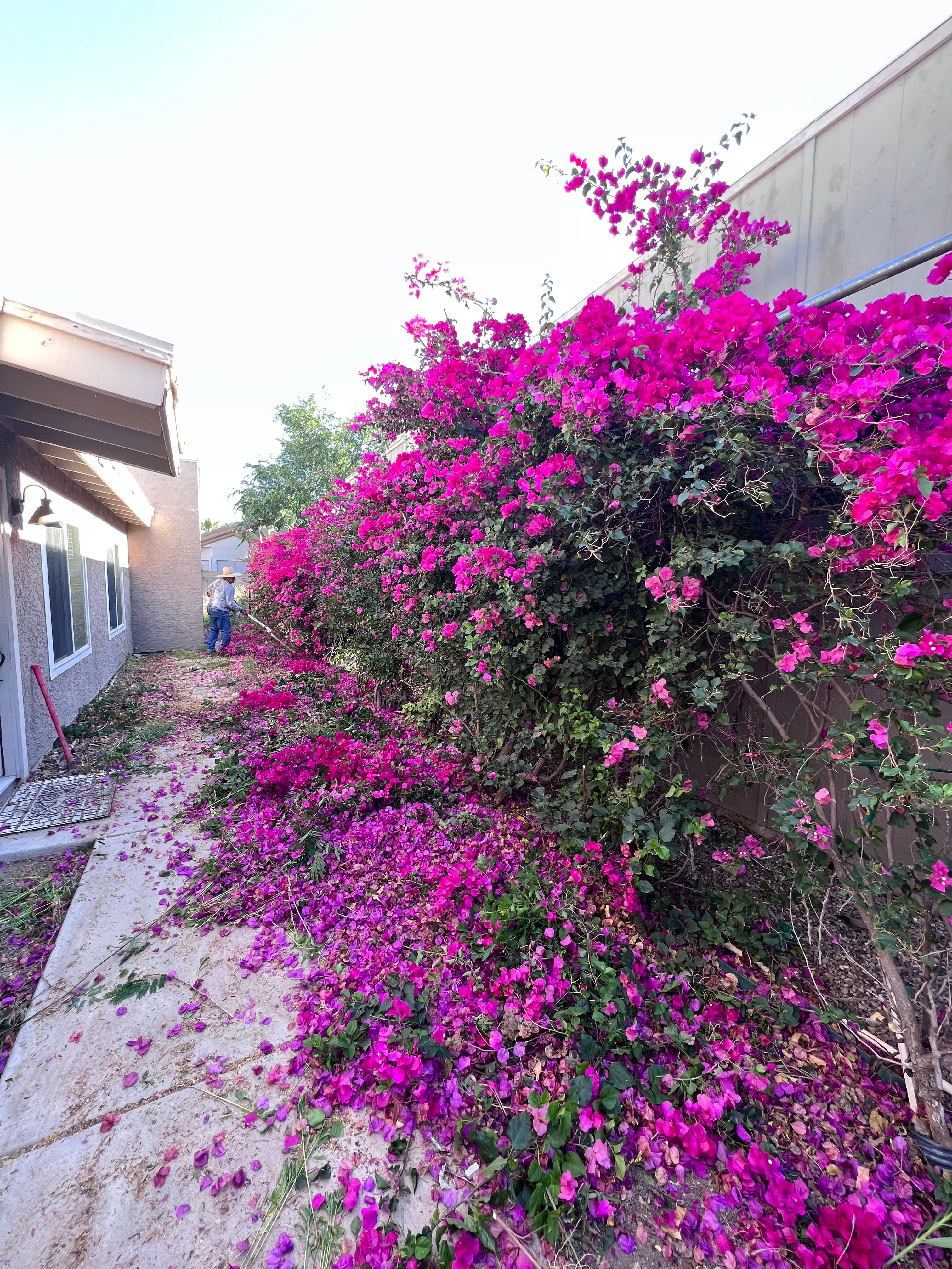 Irrigation Services - Professional Landscaping Phoenix AZ