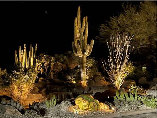 Landscape Lighting - Tempe Desert Landscaping