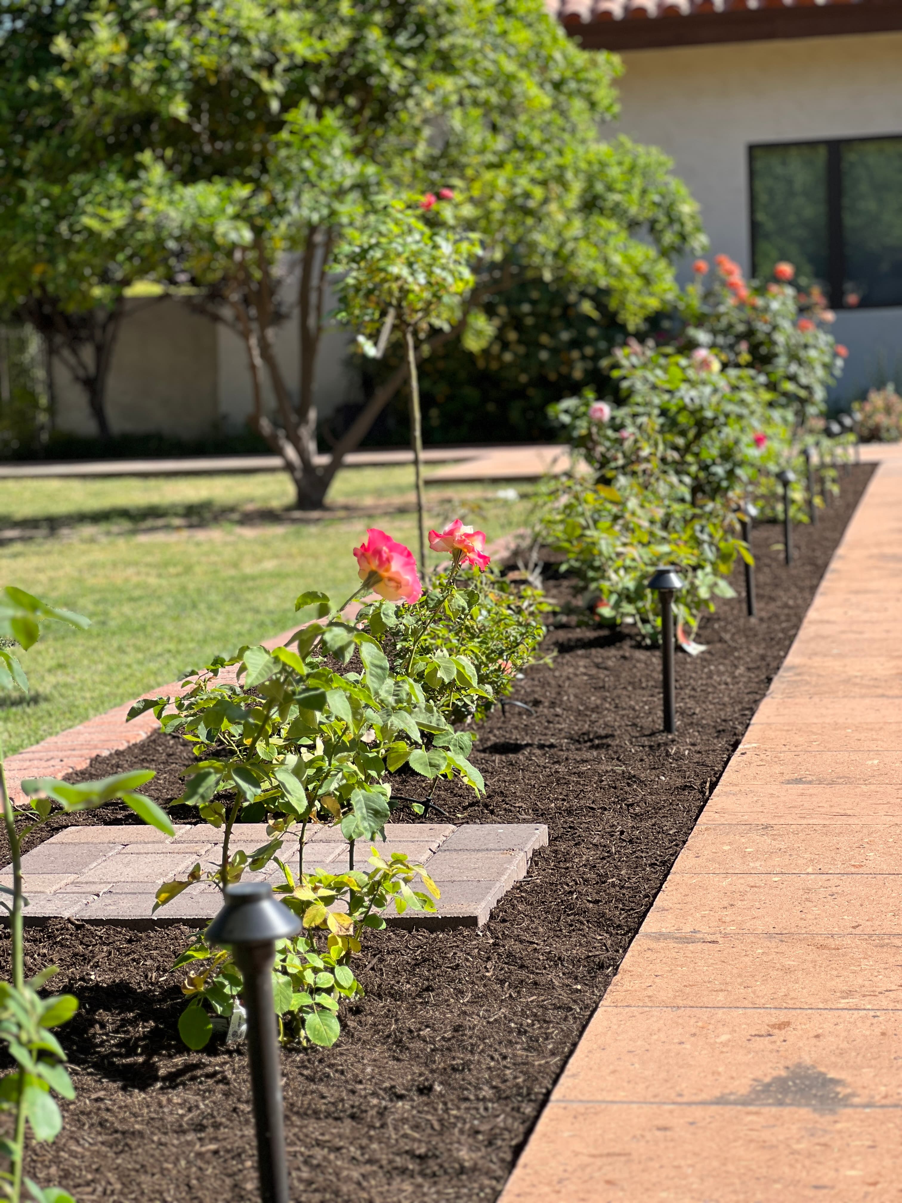 Contact Clean Desert for Professional Landscaping